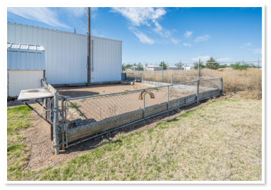 fenced in dog park